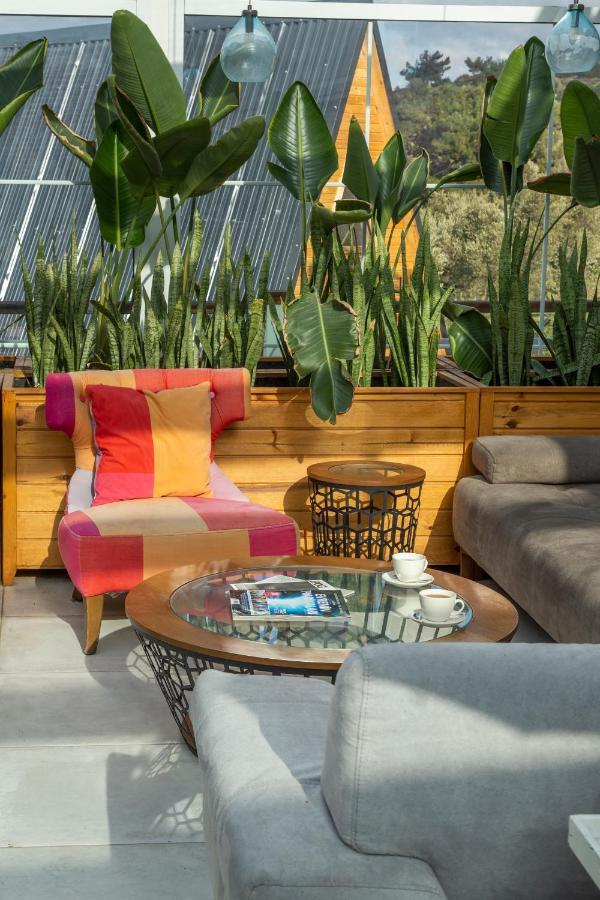 Gaia Bungalows 福卡 外观 照片
