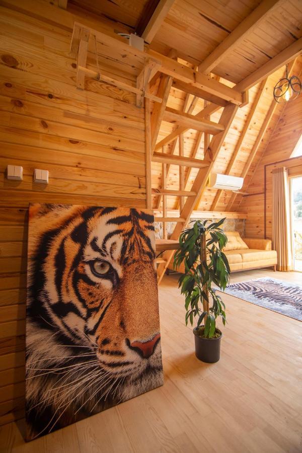 Gaia Bungalows 福卡 外观 照片